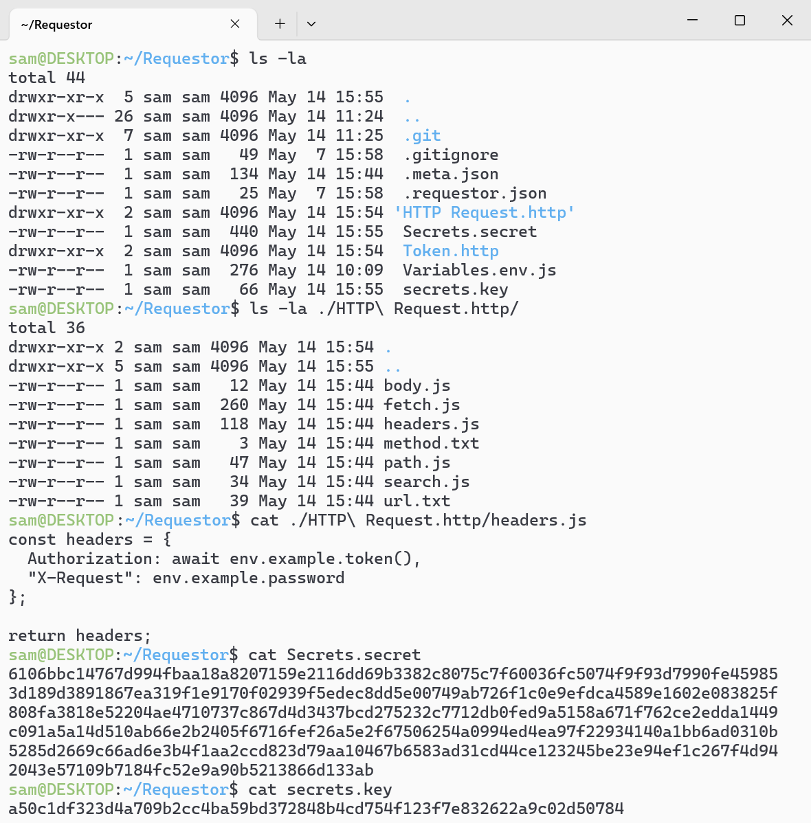 Requestor project files in the terminal
